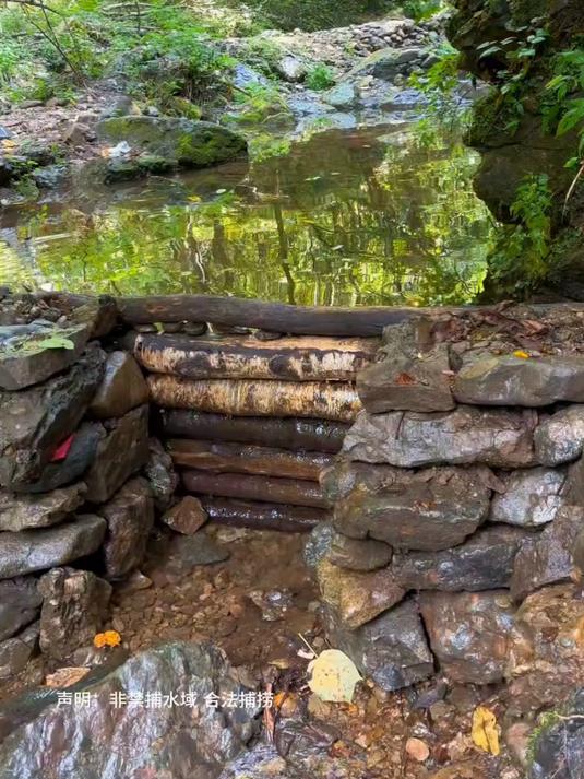 一动工就浑水！宗门扩建鱼池，二号池直接翻车，谁有妙招？