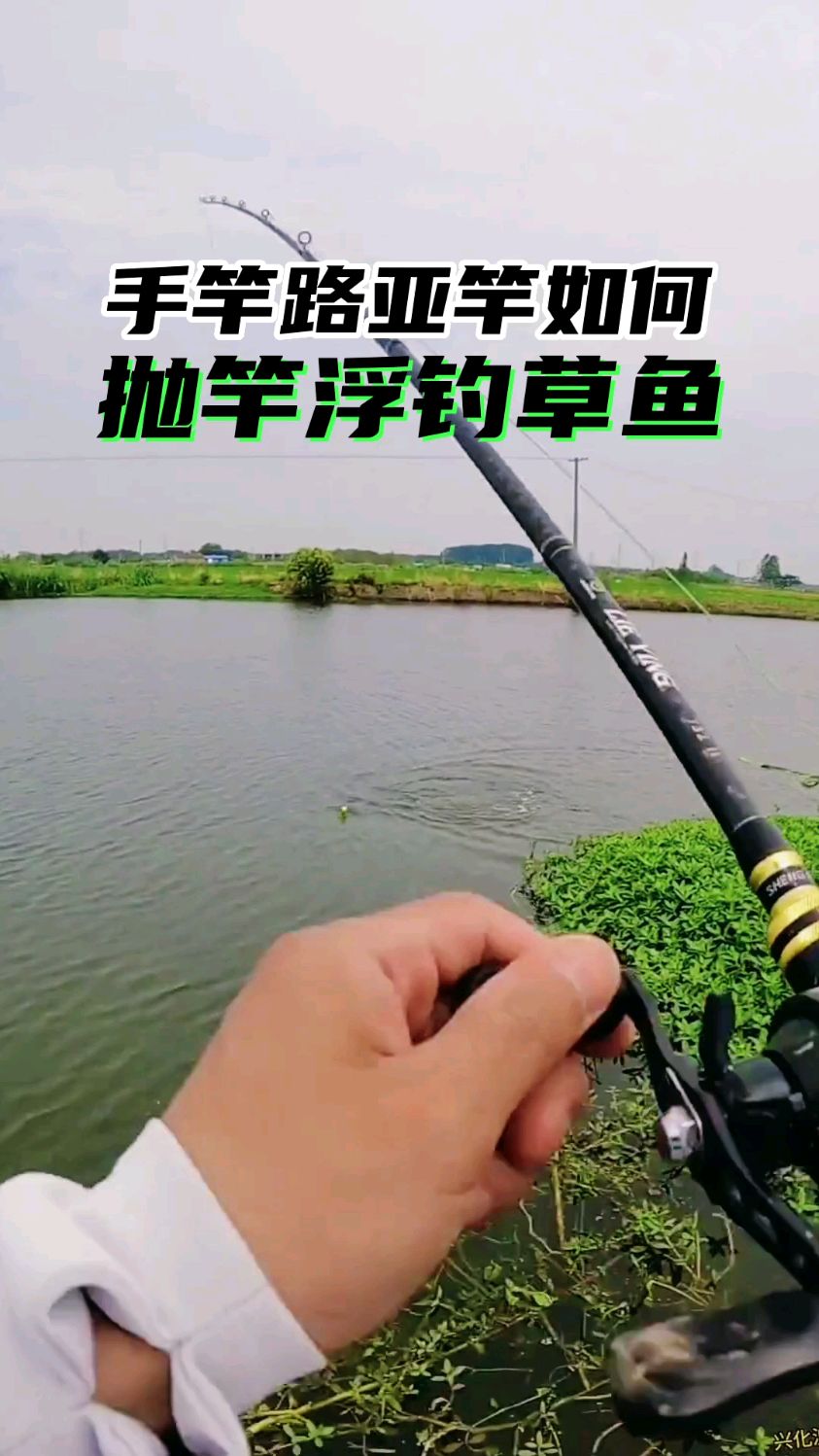 钓友们都在用的抛竿浮钓草鱼线组