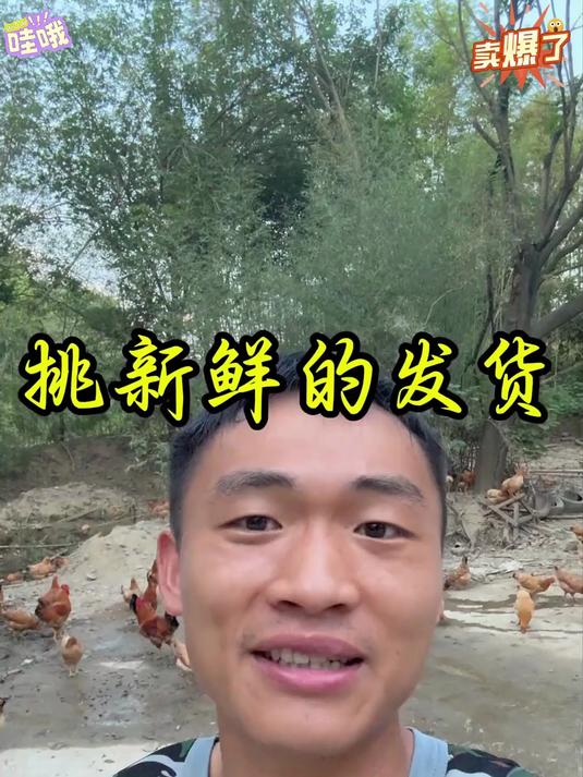 你们吃过吗？高山散养土鸡蛋又香又好吃！