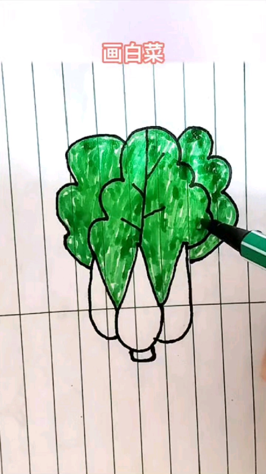 #儿童简笔画 画大白菜青菜