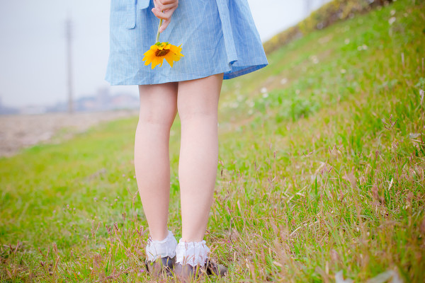 图片[10]-向日葵少女-六色网
