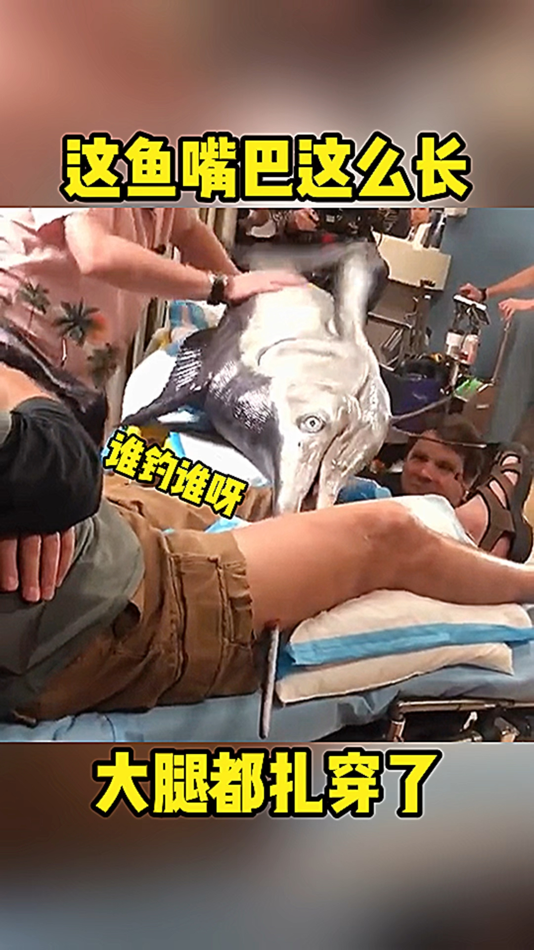 这是什么鱼嘴巴这么长