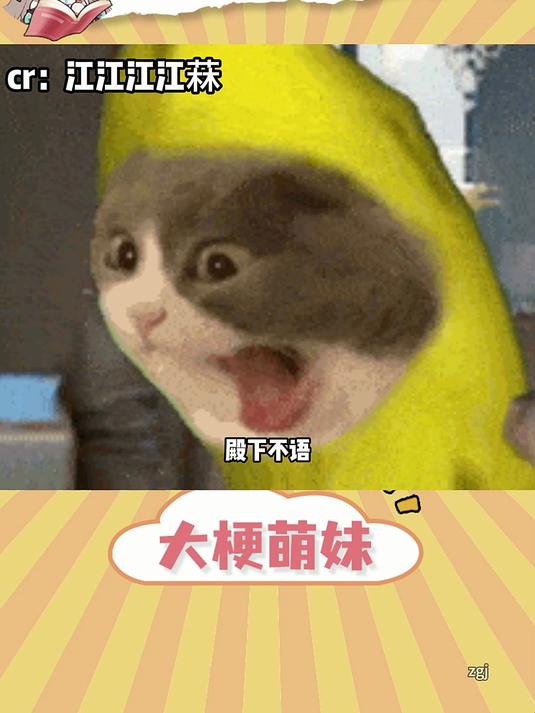 谢怜就这么宠花城