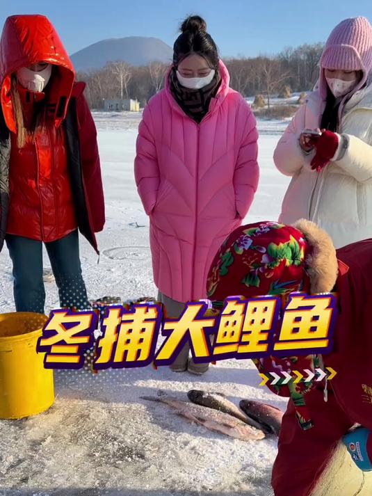 东北冬捕大鲤鱼!想吃三花一岛