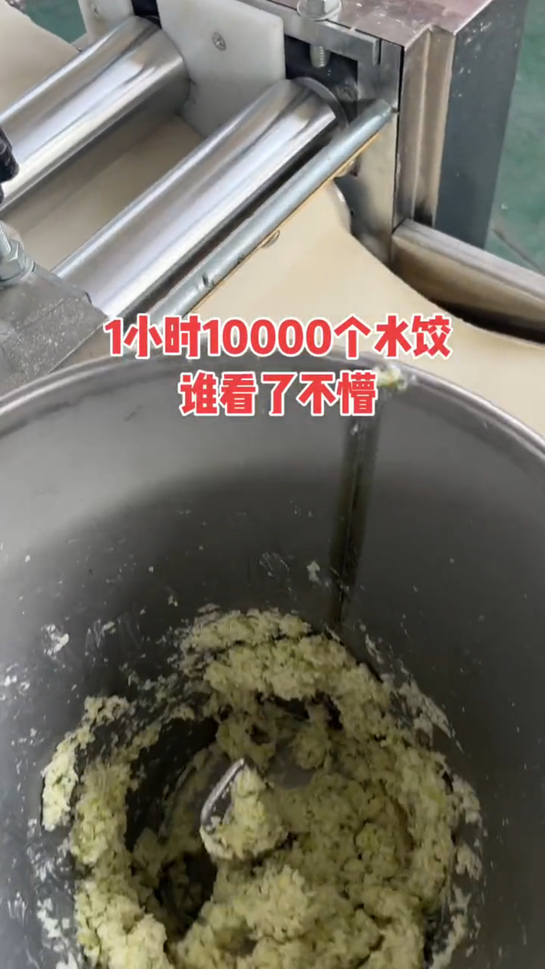 全自动饺子机、数控水饺机