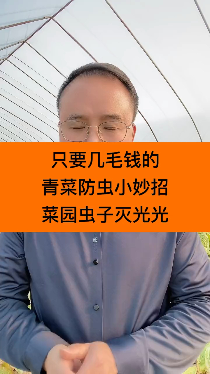 只需要几毛钱,青菜防虫小妙招,菜园虫子灭光光!