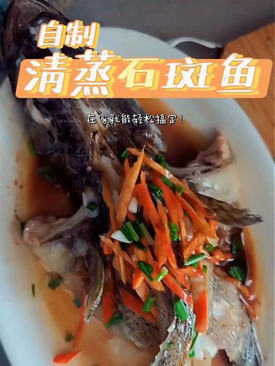 哆鲜生 海捕石斑鱼 野外生长鲜活冷冻东星斑龙趸斑三去鱼类年货礼年夜饭 三去珍珠斑 550-