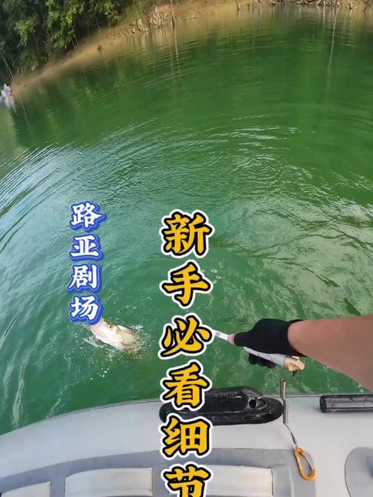 路亚不是乱甩，掌握好细节事半功倍