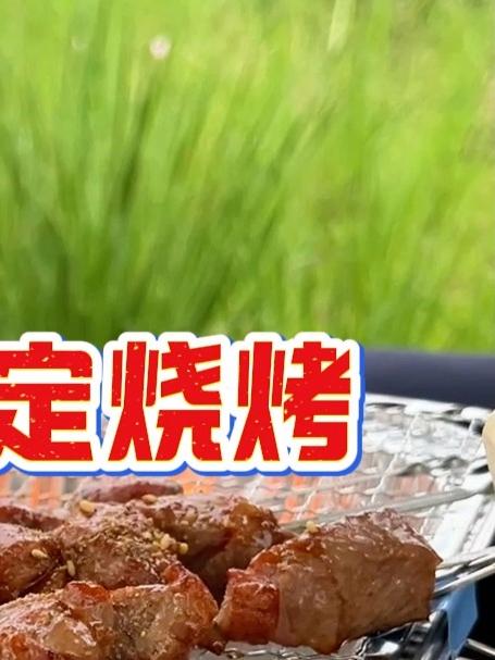 跟内行人露营烧烤，才知道几块钱的自制烧烤炉这么好用#露营烧烤##烧烤炉##青年大学习#