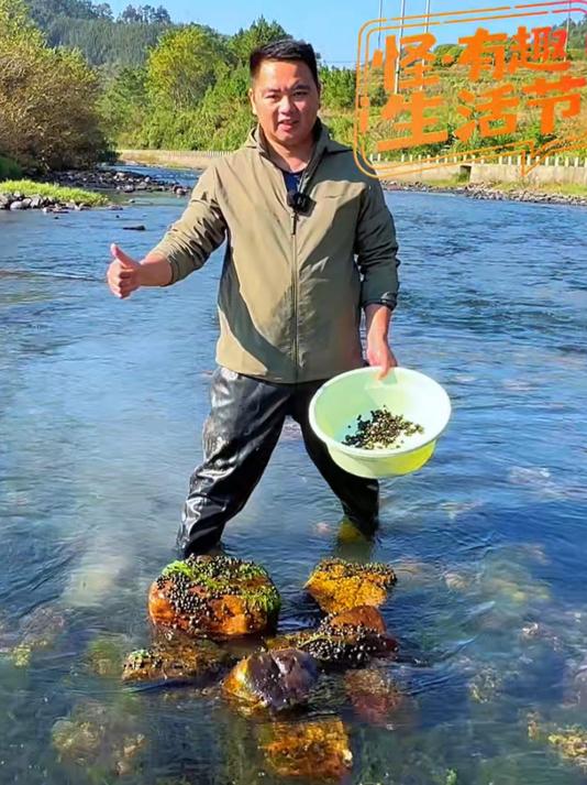 我在小水塘里放养 了300多斤鲤鱼，今天来解决鱼儿的食物问题