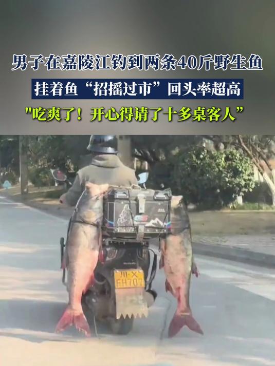 男子在嘉陵江钓到两条40斤野生鱼