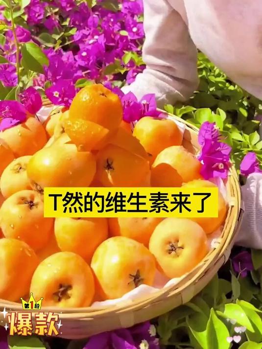 天气变化干燥,家里有条件的一定要多备点甘草竹盐枇杷