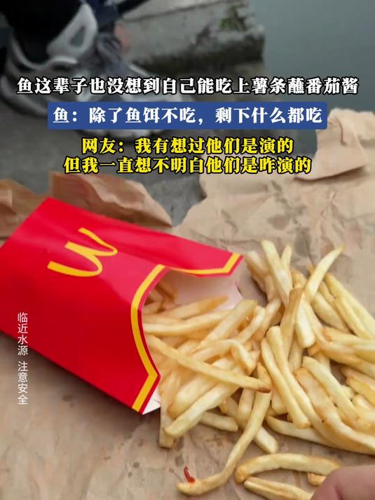 鱼这辈子也没想到自己能吃上薯条蘸番茄酱，鱼：除了鱼饵不吃，剩下什么都吃