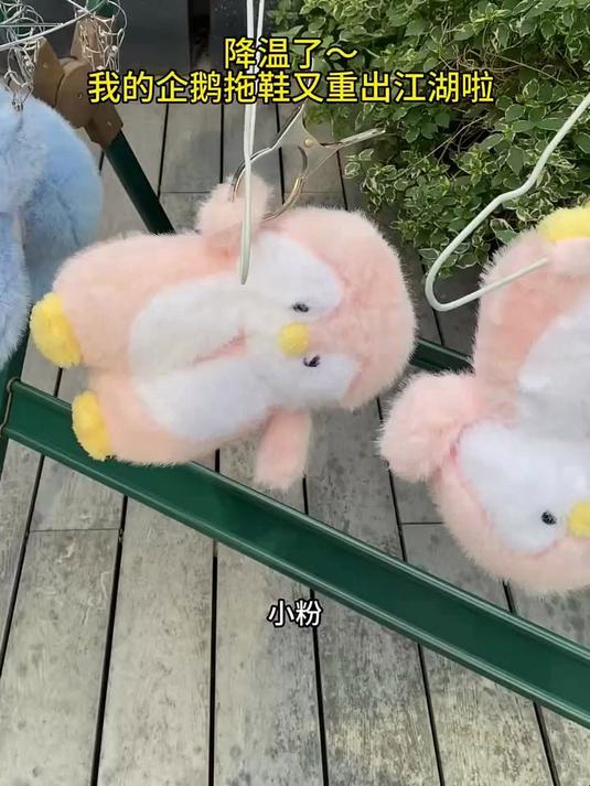 #AI动漫主题赛#这么可爱的企鹅拖鞋我居然有三双！