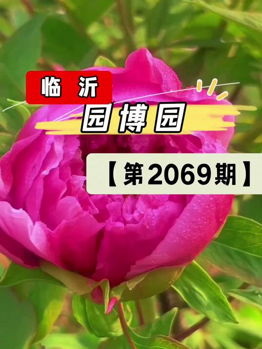 美景视频随拍!临沂园博园实拍!(第2069期)
