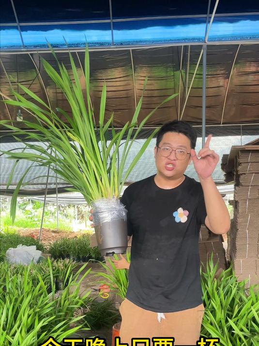东方美人都为你们打包好了!来我直播间只要一杯奶茶的价钱~
