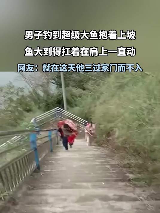男子钓到超级大鱼抱着上坡,鱼大到得扛着在肩上一直动