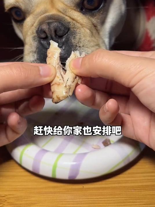 低脂肪高蛋白的鲣鱼,好吃又营养