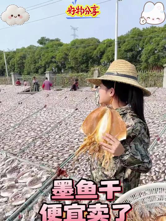淡晒墨鱼干追求高品质的可以看下这款墨鱼肉质厚实颜色好看#墨鱼干#