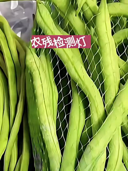 又带着我的蔬菜检测灯来到了菜市场,这个也太厉害了!