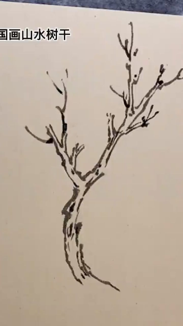 国画山水树干画法