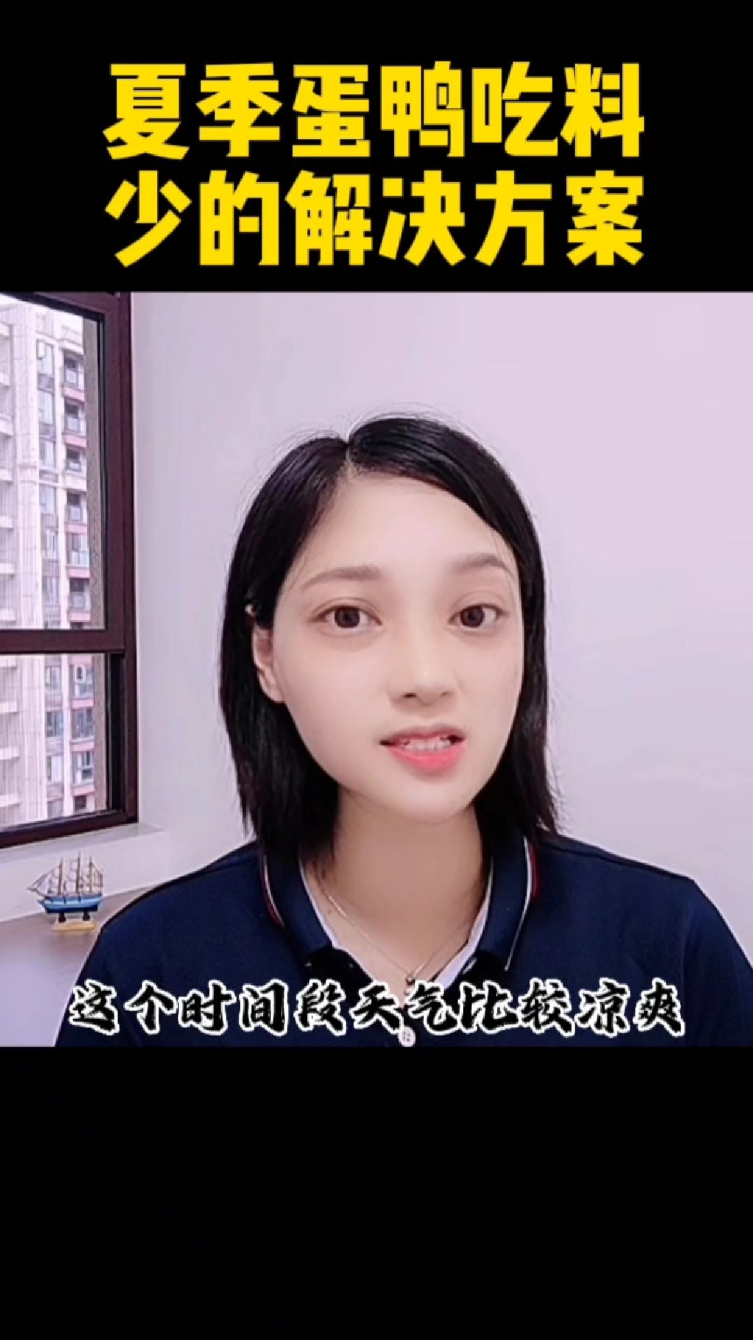蛋鸭夏季吃料少怎么办?