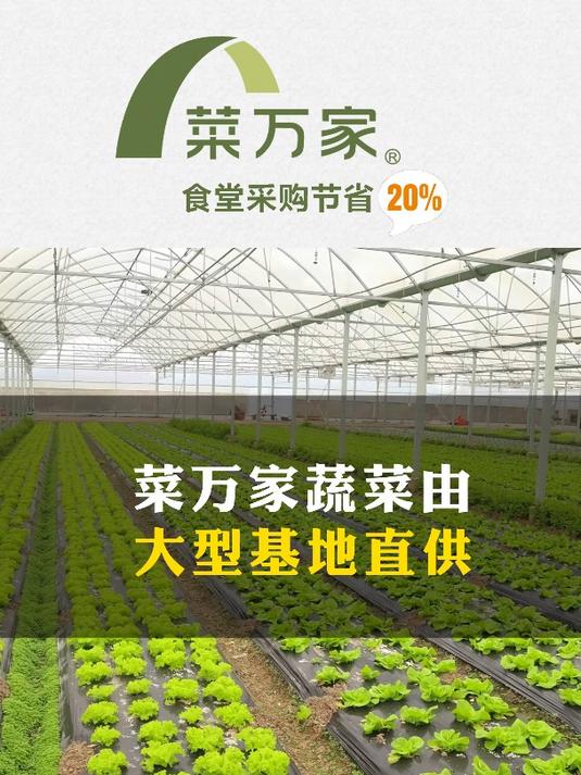 东莞菜万家蔬菜配送,基地直采