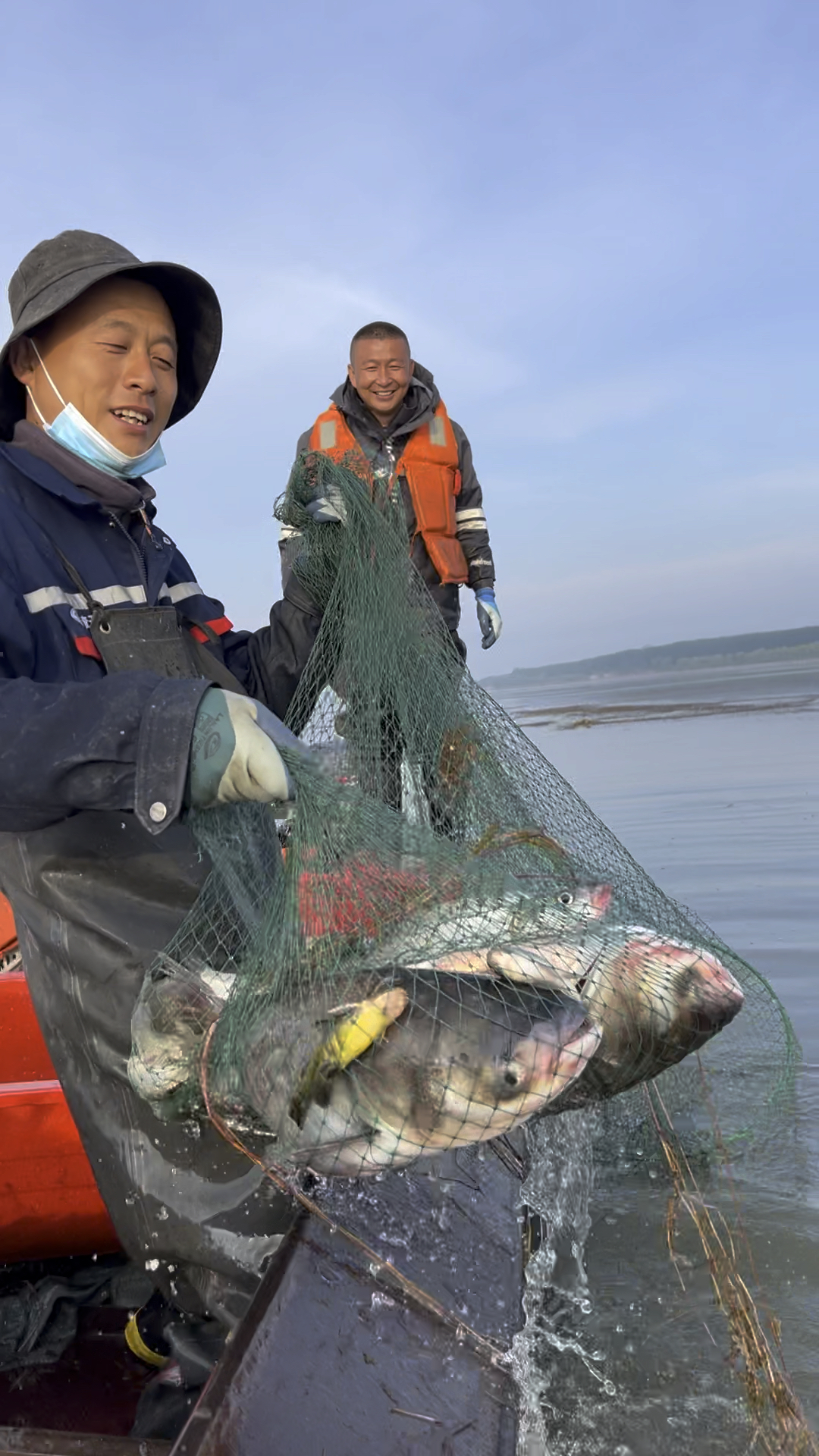 查干湖捕获胖头鱼王