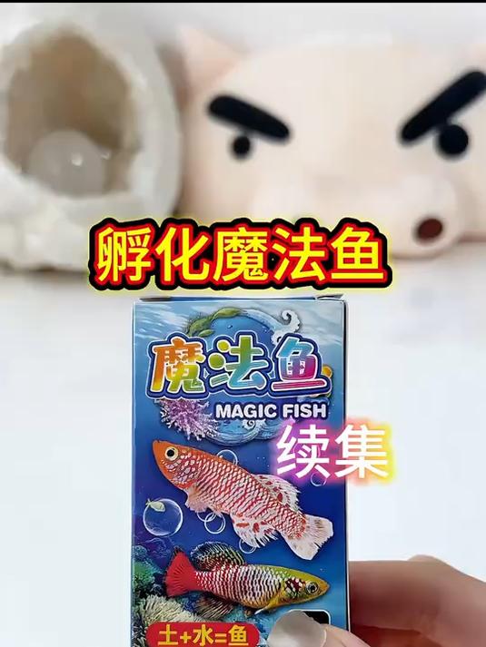 孵化魔法鱼～续集