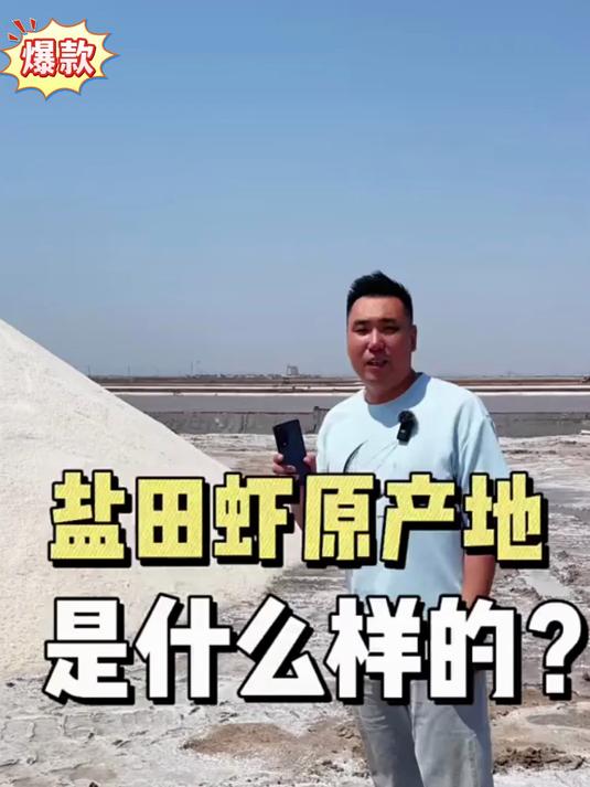 安全无污染,吃虾还得盐田虾!