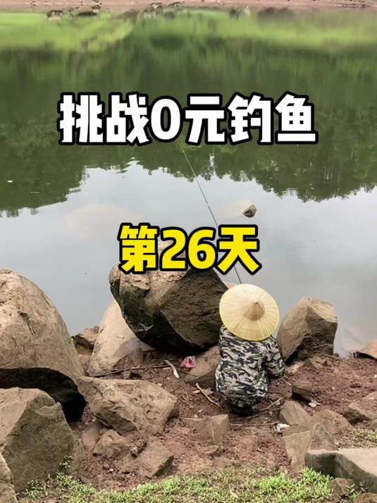 挑战0元钓鱼第26天,今天收获还不错!