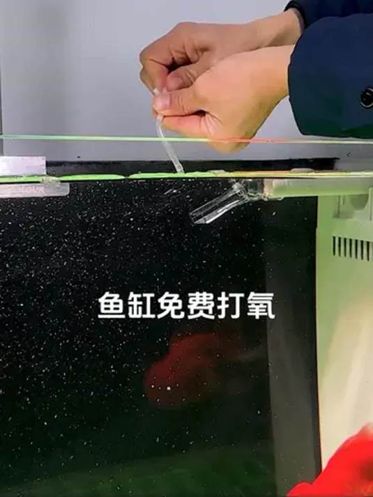 鱼缸增氧有难题?氧气泵吵?试试这样改造!
