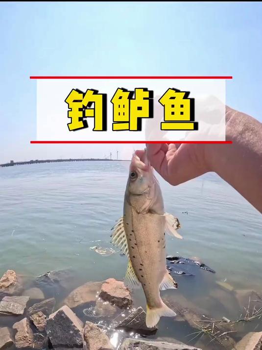 海钓鲈鱼,终于解锁了