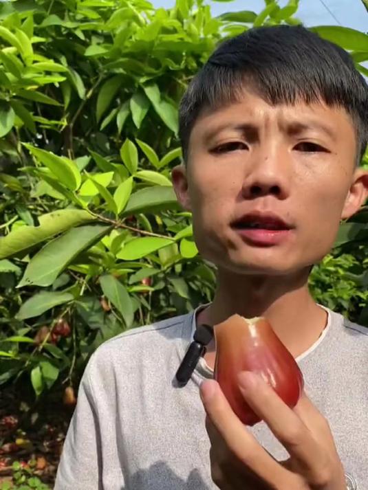莲雾这口感绝了！果肉脆嫩无渣，咬一口满是清香