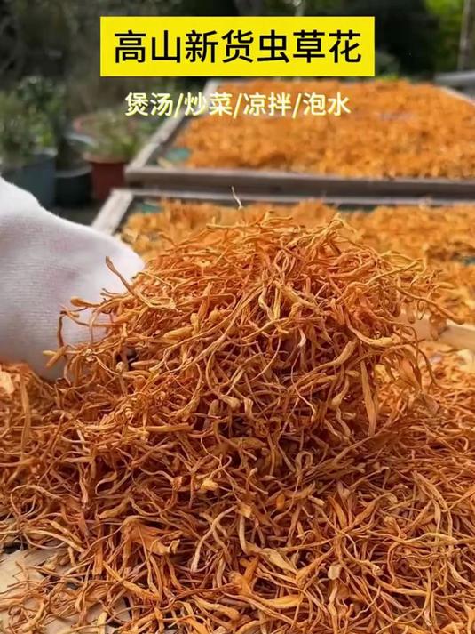不想出门喝汤?在家用虫草花煲鸡汤