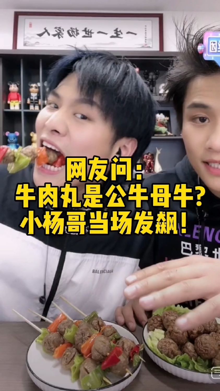 牛肉丸是公牛还是母牛做的