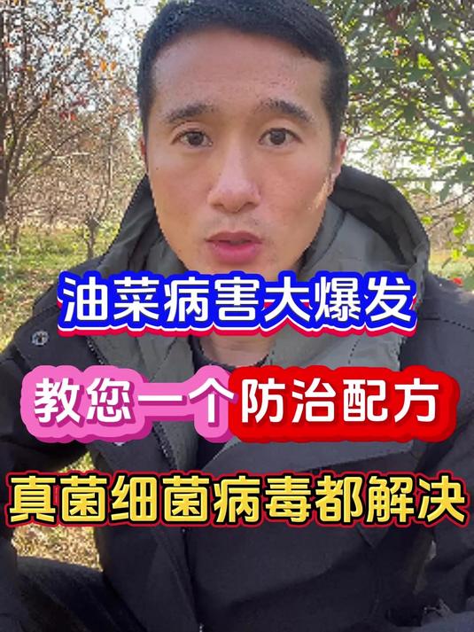 油菜病害爆发教您一个配方真菌细菌病毒全解决
