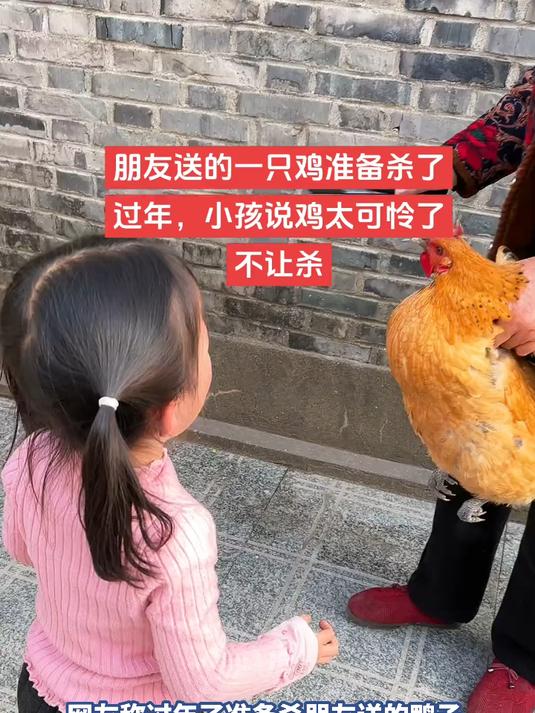 网友称过年了准备杀朋友送的鸭子,小女孩称小鸡太可怜了不让杀