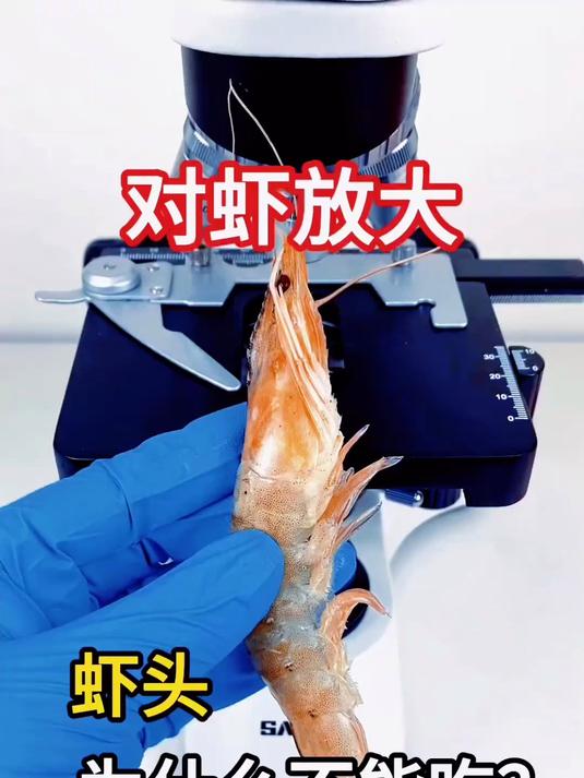 虾头到底能不能吃呢?