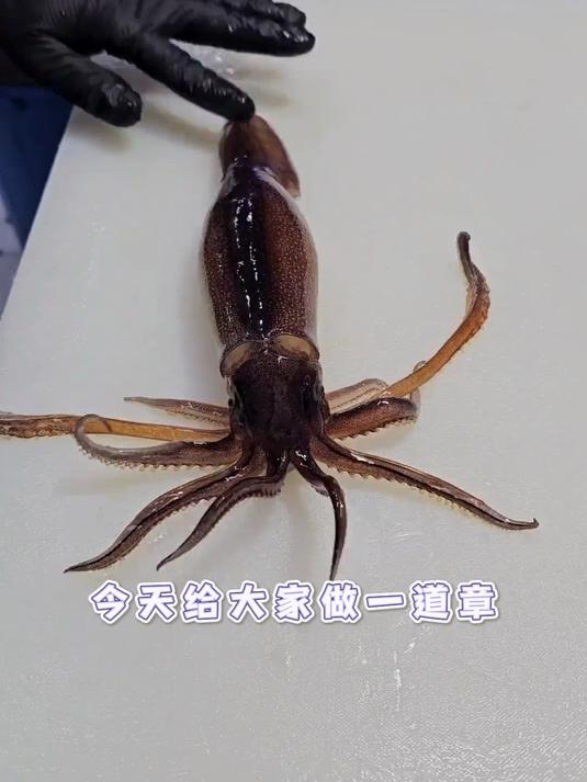 章鱼刺身：分头领去内脏牙，刮粘液切片，简单试试吧