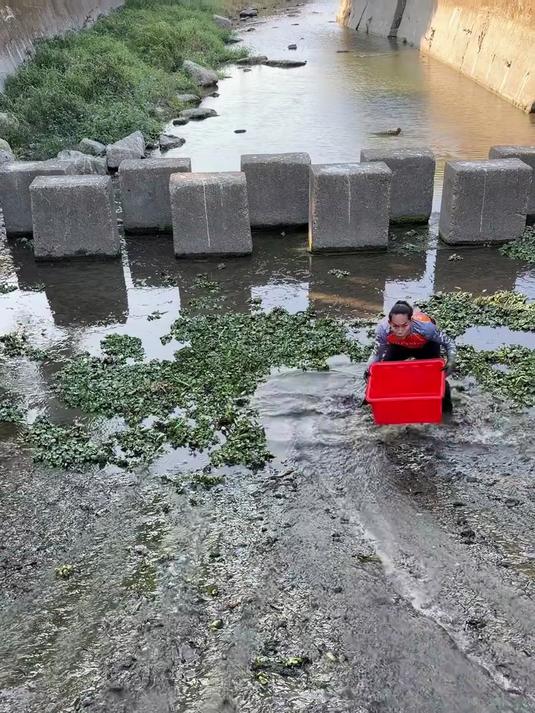 好大的鲤鱼！