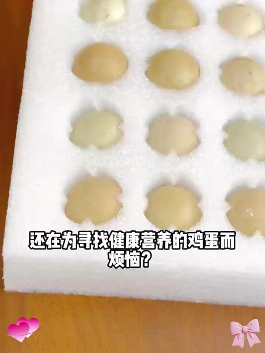 散养山鸡,天然孕育——七彩山鸡蛋,品质源于自然的呵护