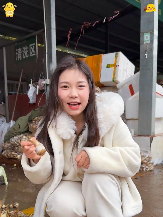 今天教你们做肉沫地皮菇这个菜非常好学一学就能学会!