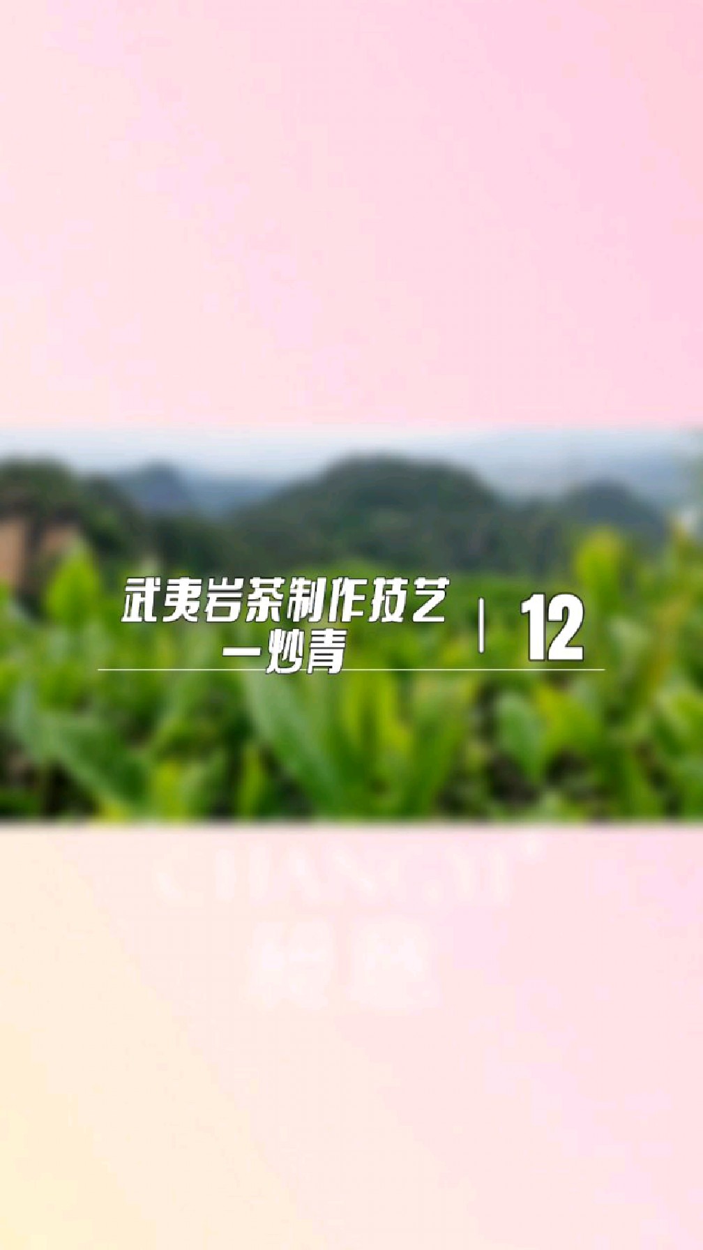 武夷岩茶制作技艺—炒青