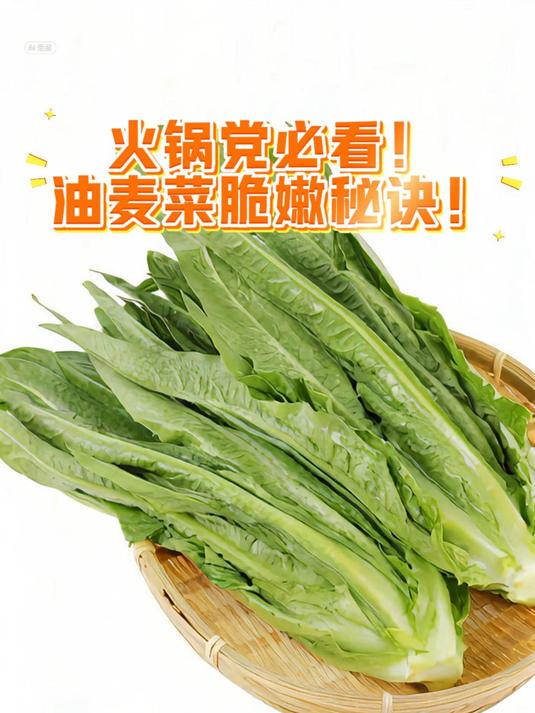 火锅党必看!油麦菜脆嫩秘诀!