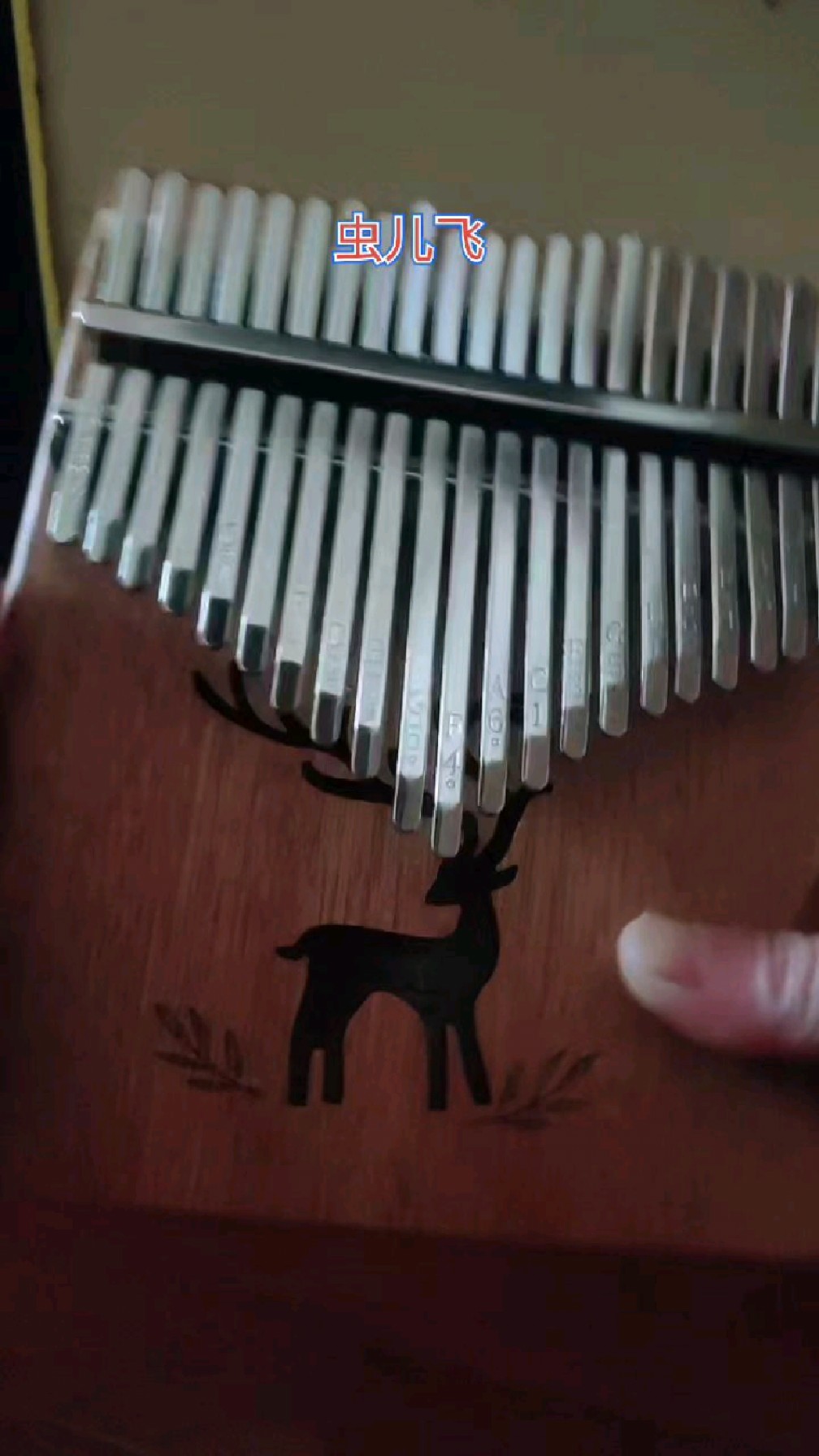 卡林巴拇指琴学弹《虫儿飞》,打发无聊时间