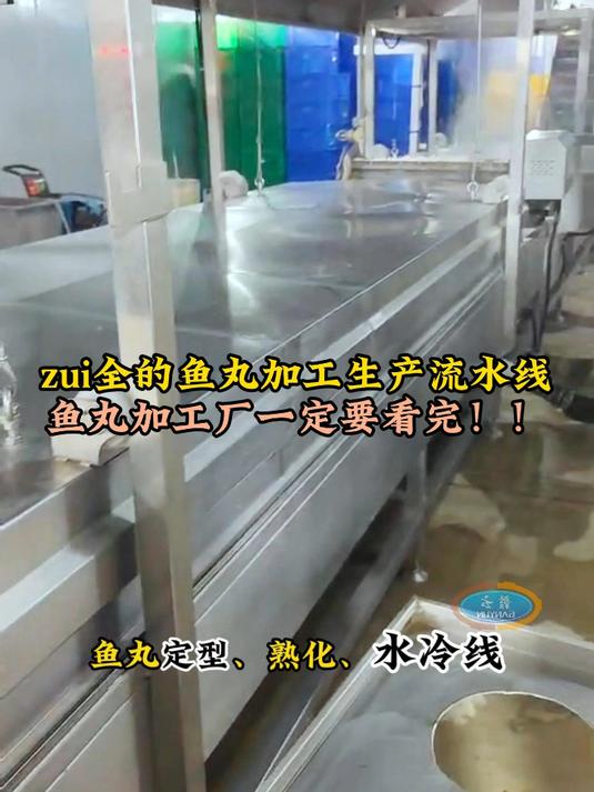 全套自动化鱼丸加工流水线设备,全面的鱼丸生产线机器