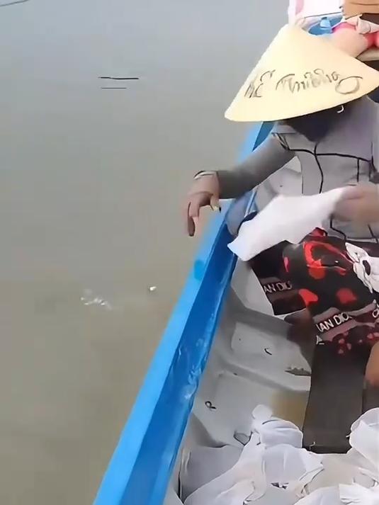 182. 这就变成野生甲鱼了？