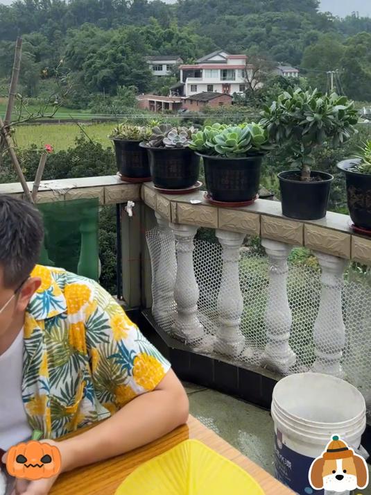 正宗涪陵榨菜丝美味下饭菜真的太好吃了!