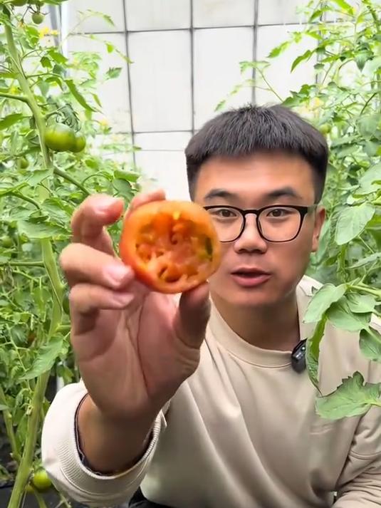 真正的碱地柿子每个都是有籽的,口感是酸甜的汁水满满!